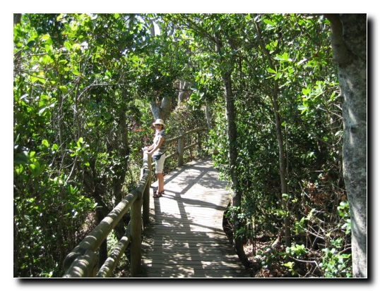 Byron Bay 07